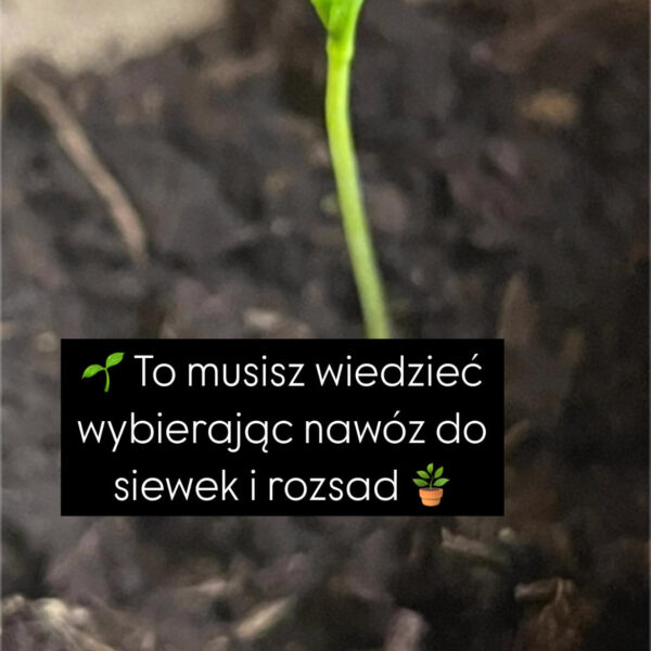 Green Alga Najlepszy nawóz do siewek i rozsad