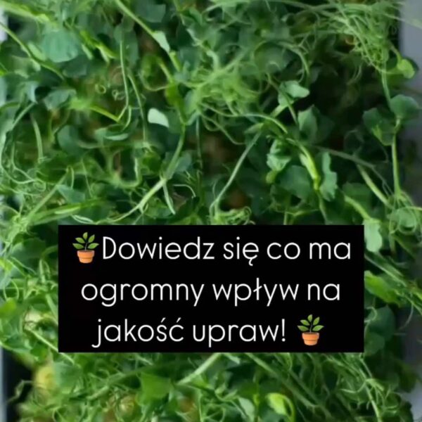 wspieranie mikroorganizmów glebowych Green Algą