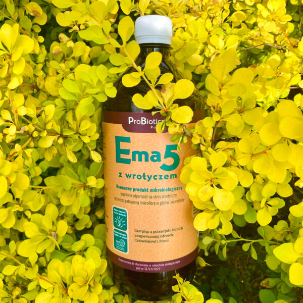 Ema5 z wrotyczem - butelka  1 litr